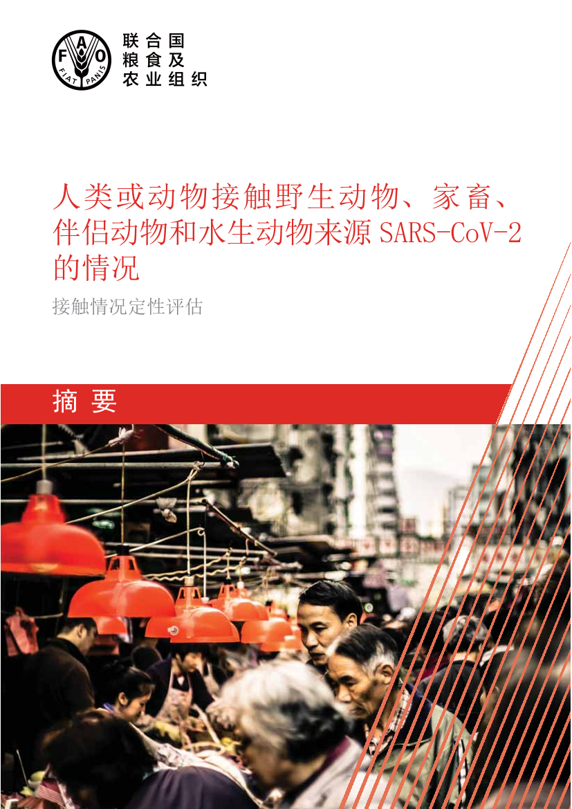 联合国粮农组织-人类或动物接触野生动物、家畜、伴侣动物和水生动物来源SARS-CoV-2 的情况-2021.4-12页联合国粮农组织-人类或动物接触野生动物、家畜、伴侣动物和水生动物来源SARS-CoV-2 的情况-2021.4-12页_1.png